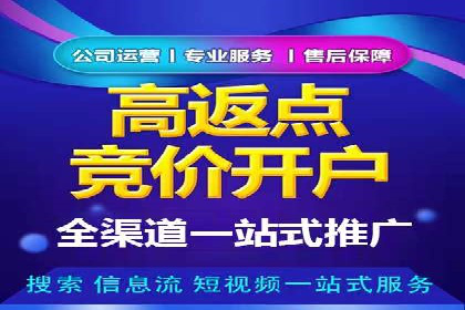 某行业SEM广告投放的创意与执行案例